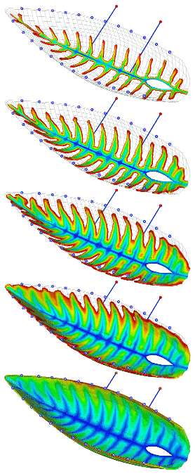 Filling pattern predicted by RTM-Worx