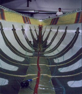 Infusion of C55 hull [2]