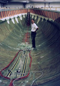 Infusion of C55 hull [4]