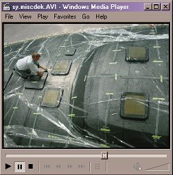 Photographs: sy5misc.avi (1223 KB)